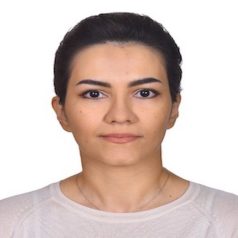 saeideh-fatemizadeh
